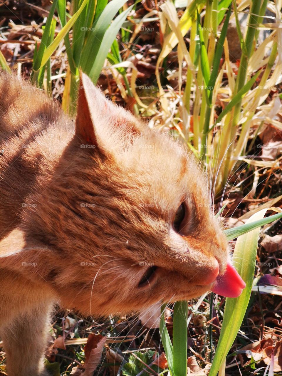 natural way of healing