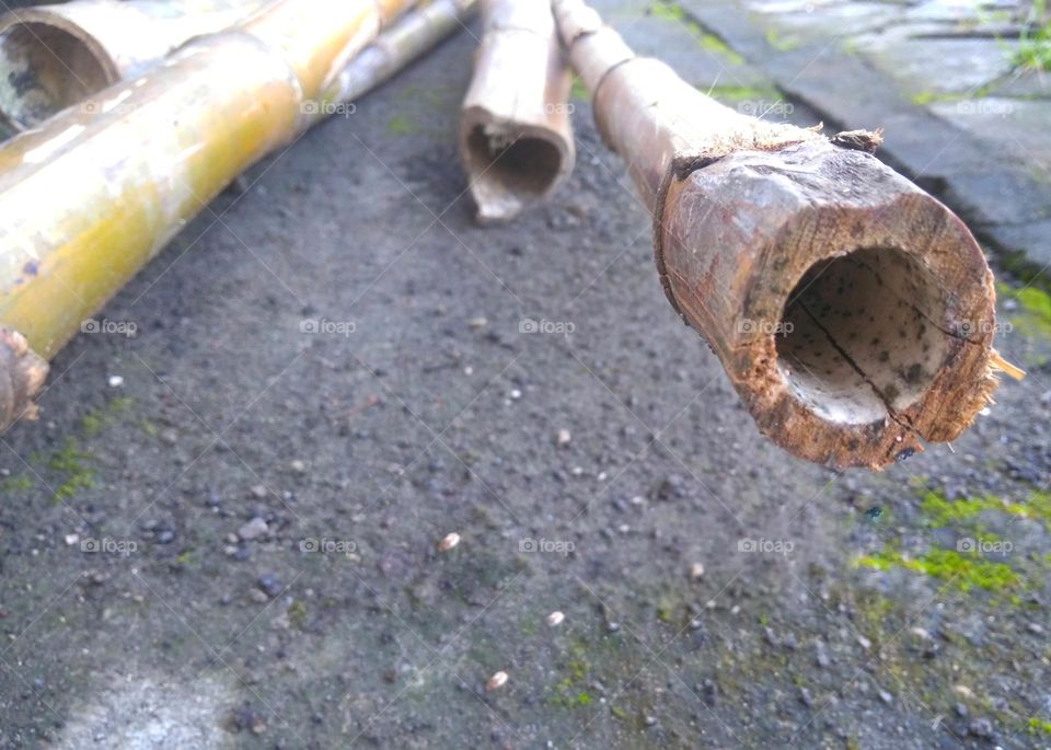 Bamboo pieces on the ground