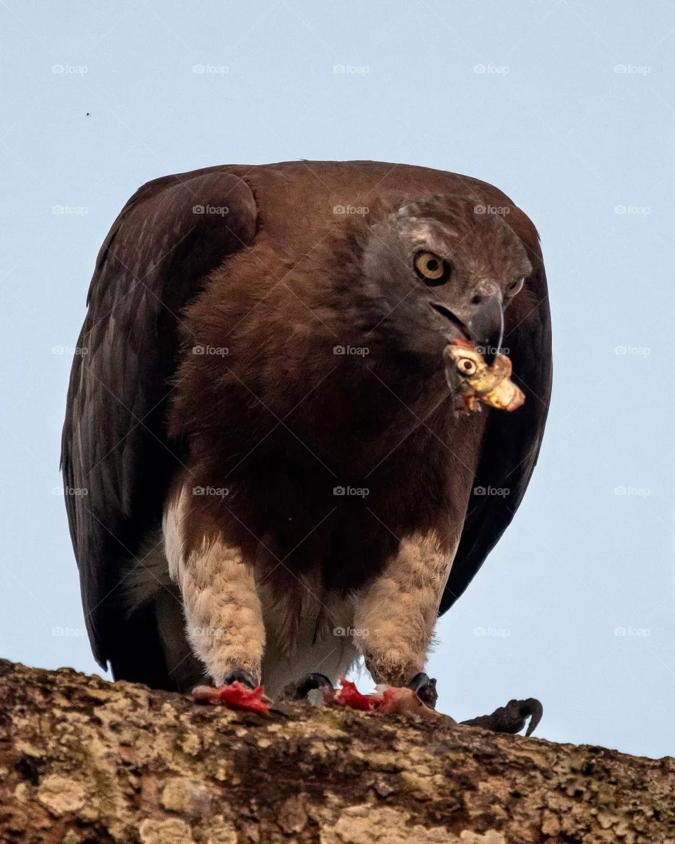 lunch time