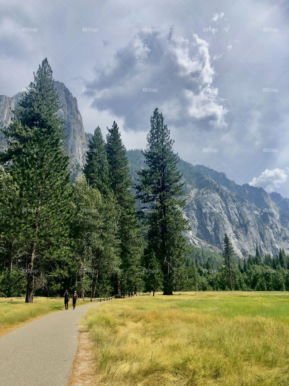 Yosemite, California 