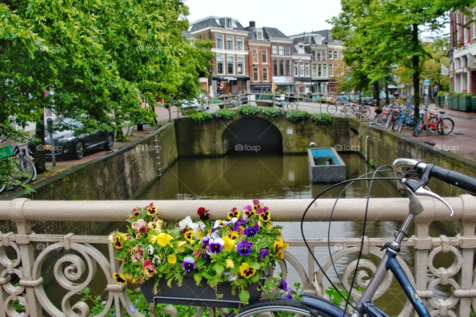 Dutch Canal 