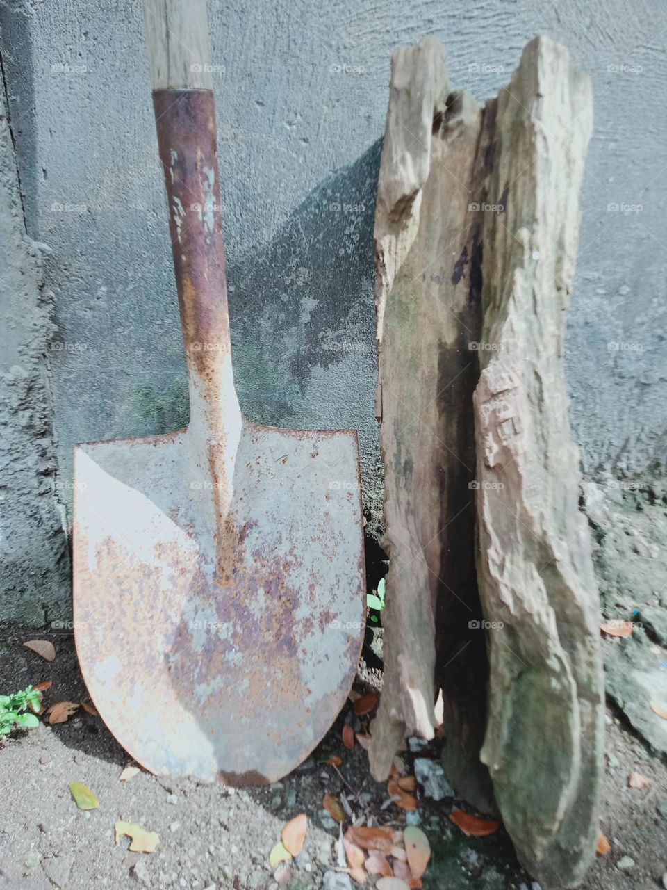 Dig & Log backyard stuff