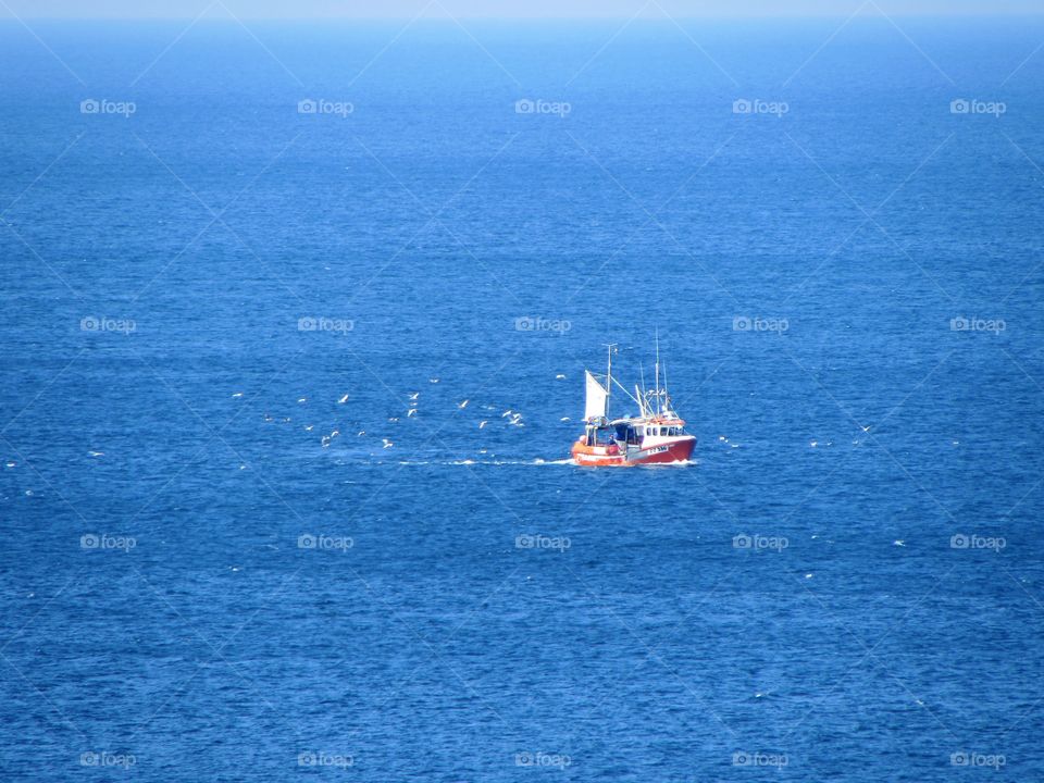 Following the fisherman