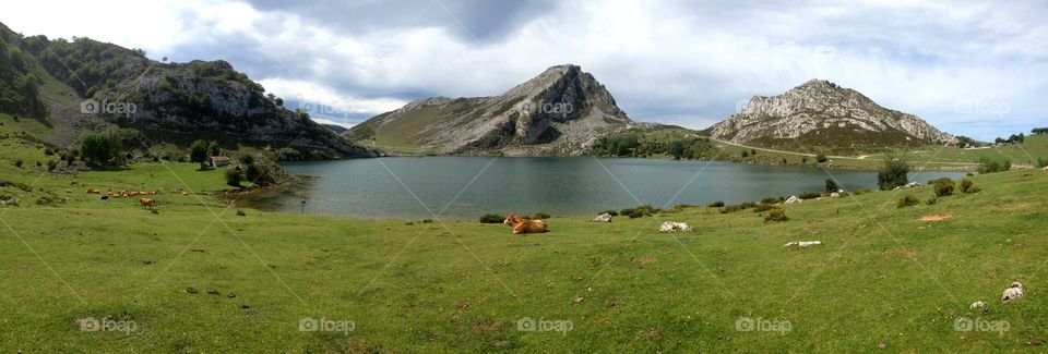 Panoramic view of Enol lake in Lagos de Covadonga, Asturias - Spain 