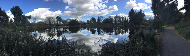 Reflection. The UC Davis Arboretum 