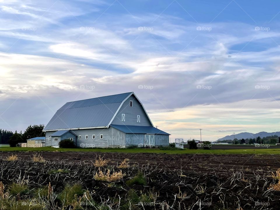 A blue barn stands near a freshly tilled field at sunset in rural Washington. Burlington, Washington 