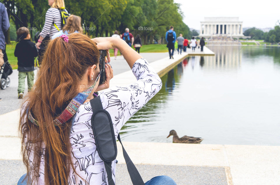 Reflecting pool duck in DC