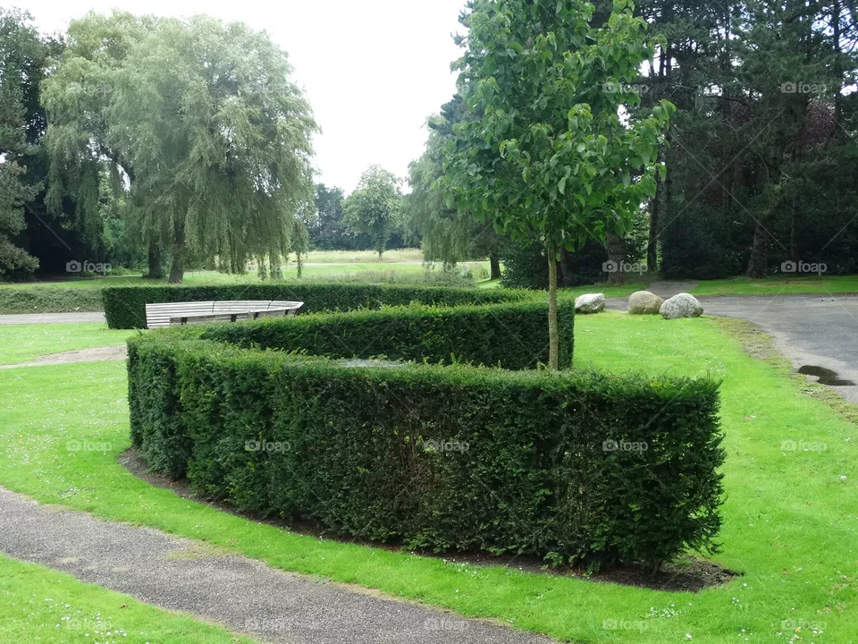 An S bend hedge nature art