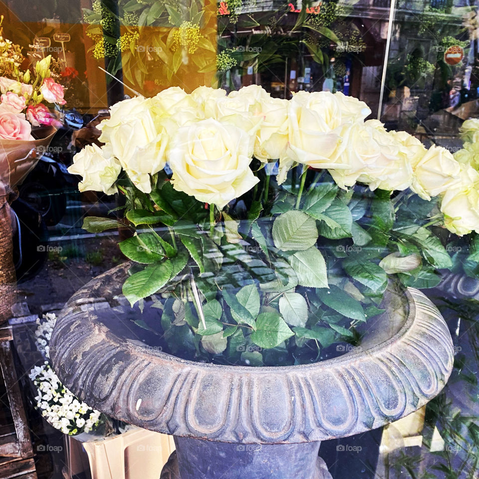 Windows at Holiday time 