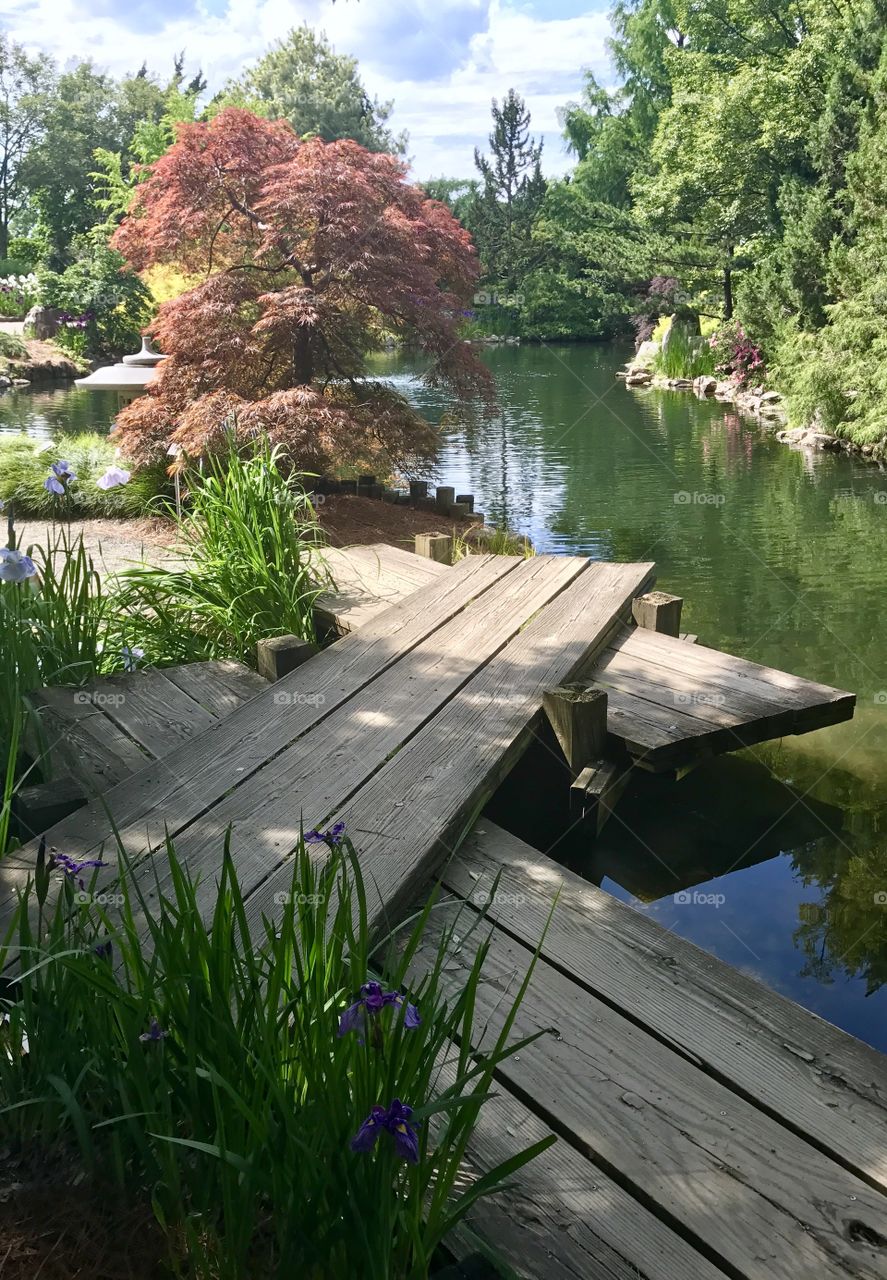 Wooden bridge 