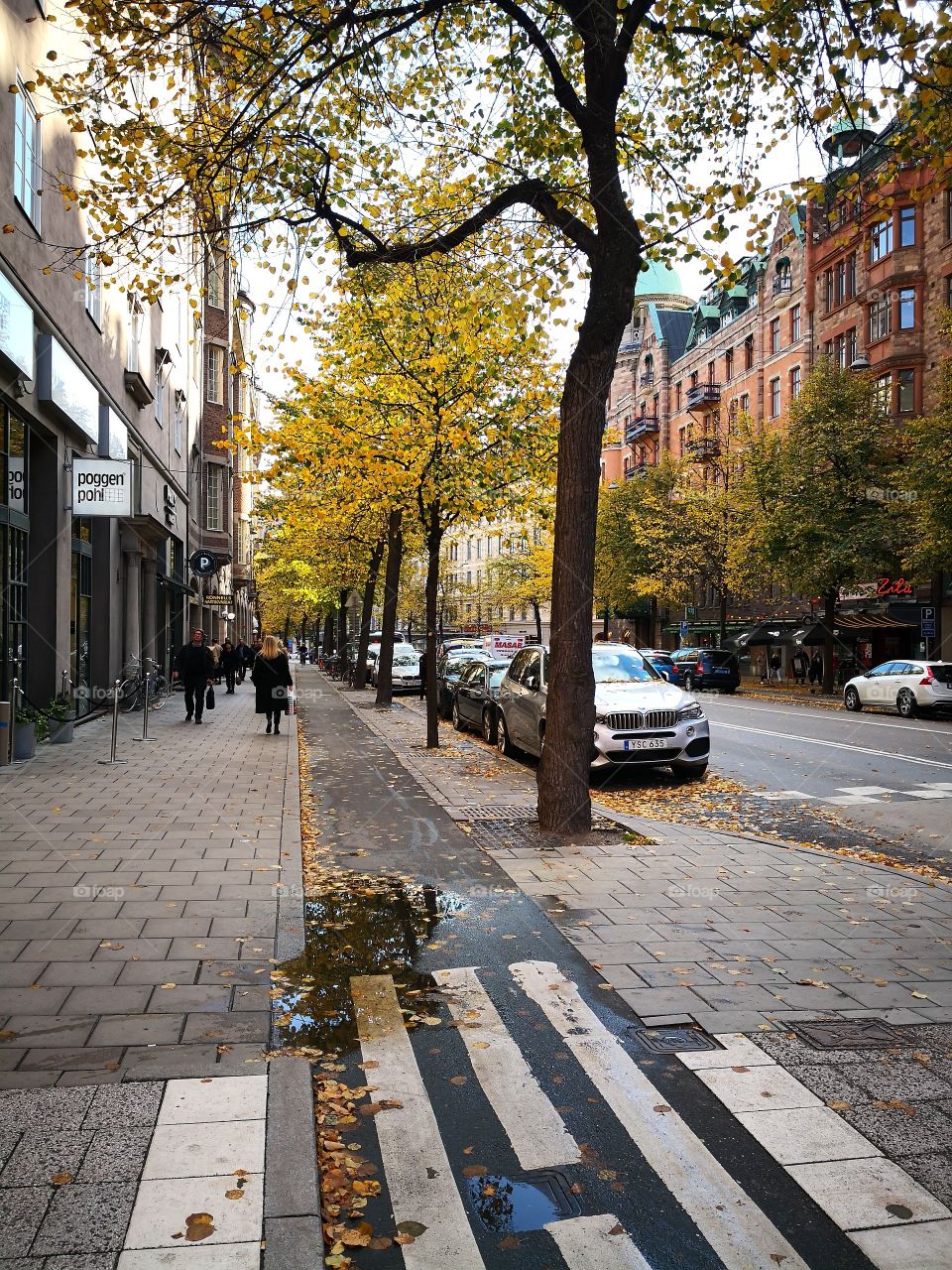 Autumn street.