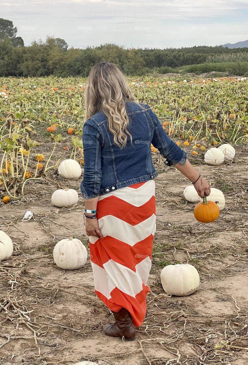 Woman Harvesting in a Pumpkin Patch 