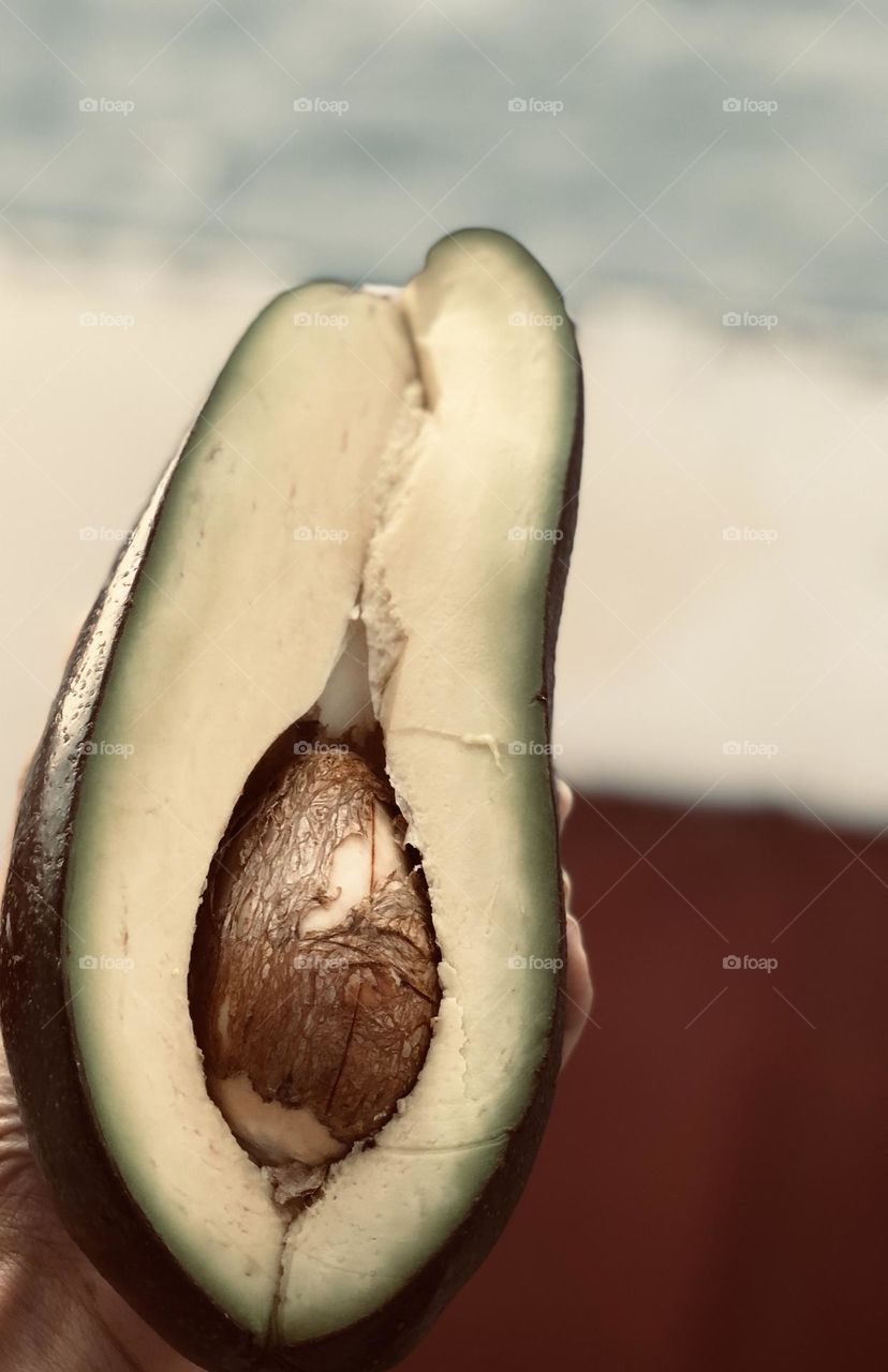 Avocado