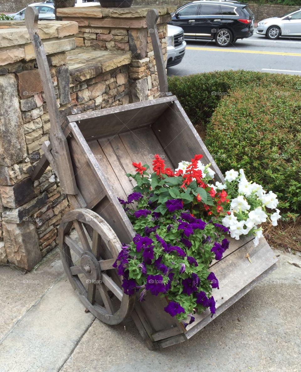 Flower Cart