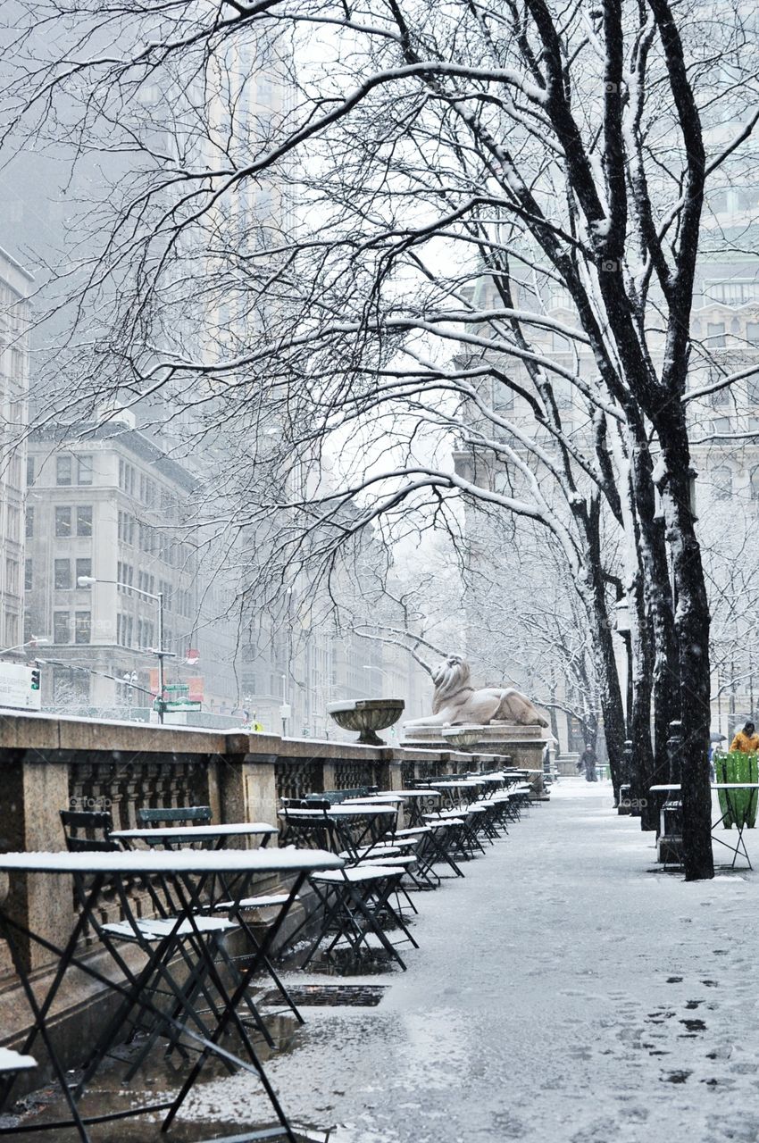 Snow in New York 