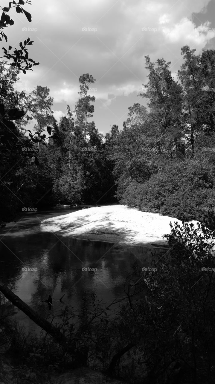 creek grayscale