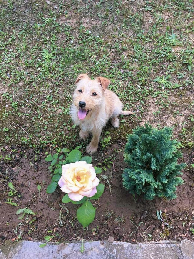 My love 🐾🥰📸