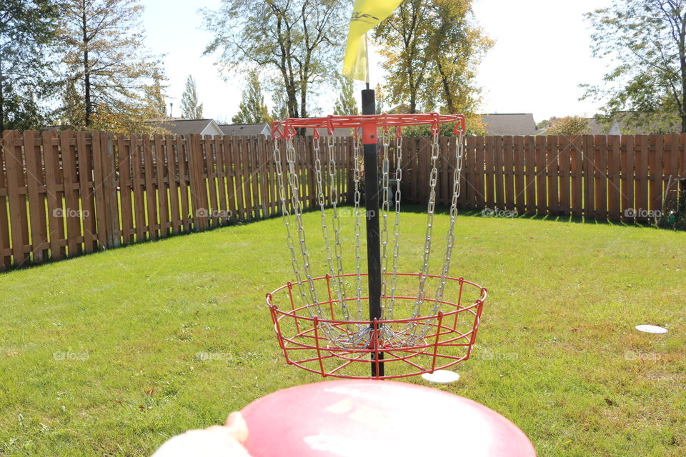 Disc Golf