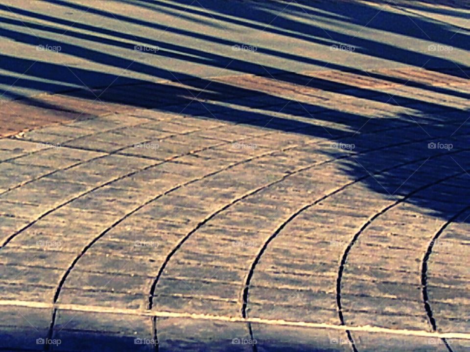 long palm shadows. Long palm tree shadows across circular walkway in the golden hour