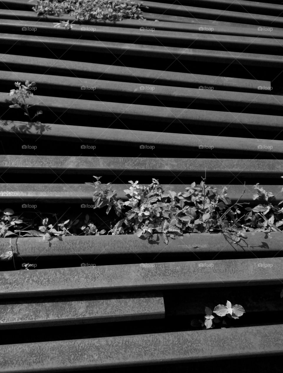 background/background texture/real texture/gray shade taxture