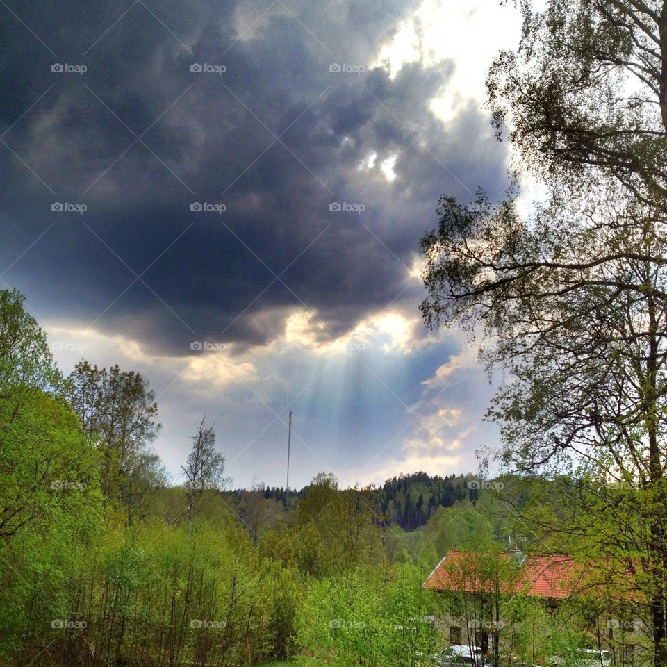 sky nature dark tree by cillatilla