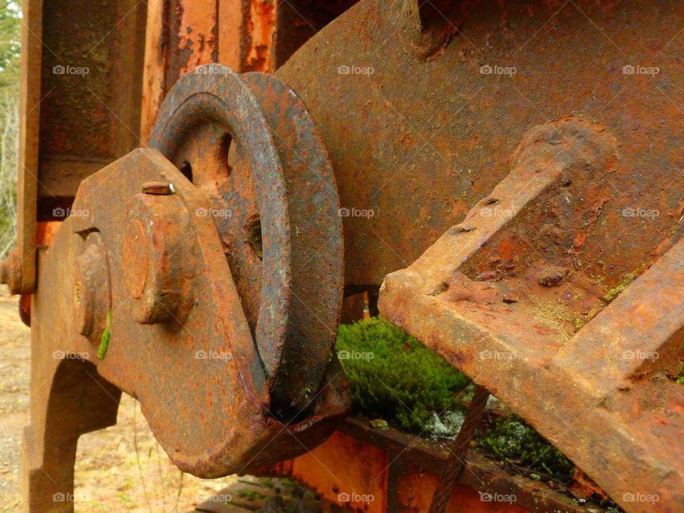 Rusty Old Logging Equipment
