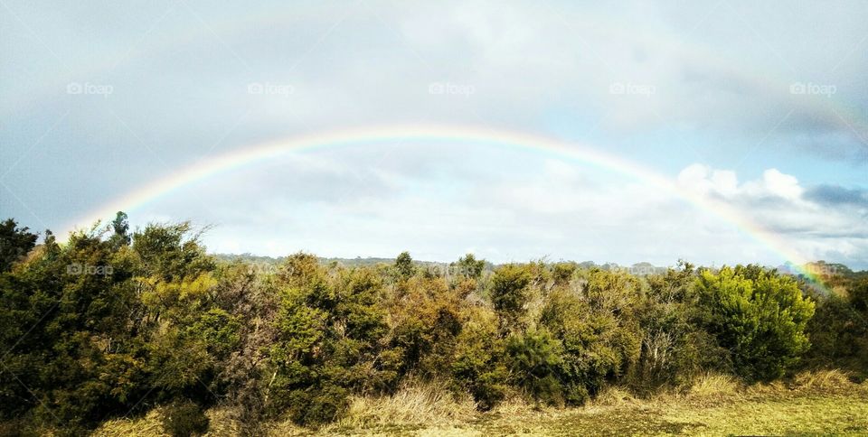 Australian summers afternoon storm.