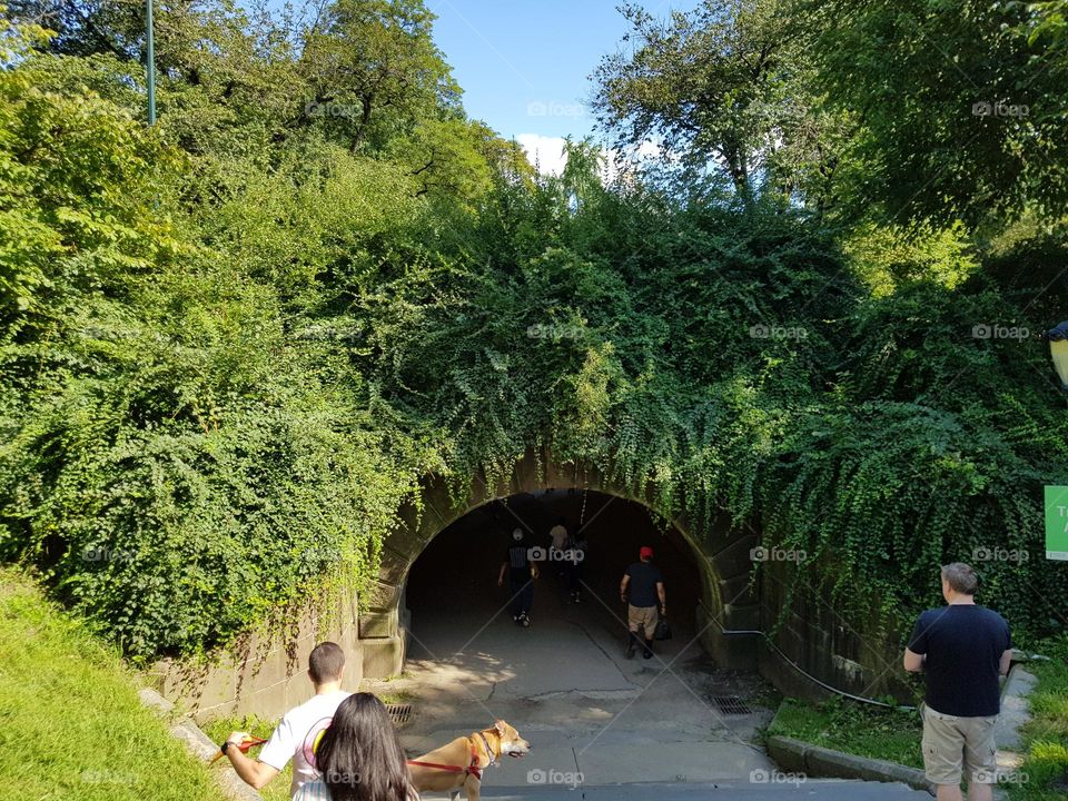 Central Park Tunnel