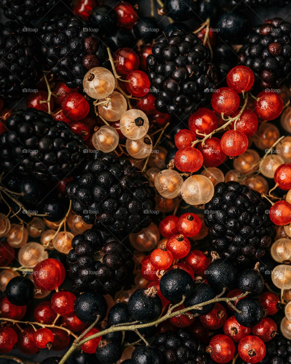Blackberries, red and white currants top view, close up