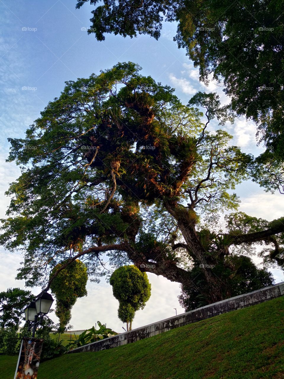 Fort Canning Park, Singapore.