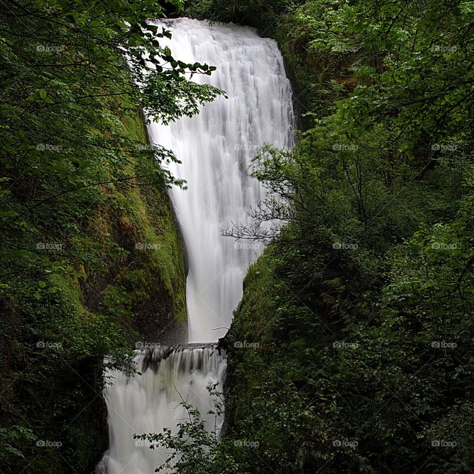 A two tier waterfall in the forests of Western Oregon 