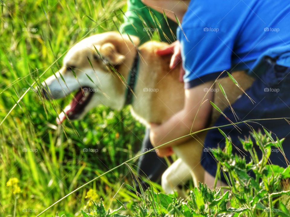 Happy dog with kids