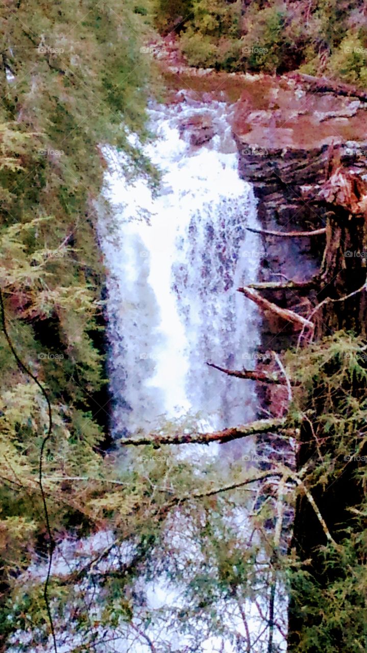 fall Creek Falls State Park