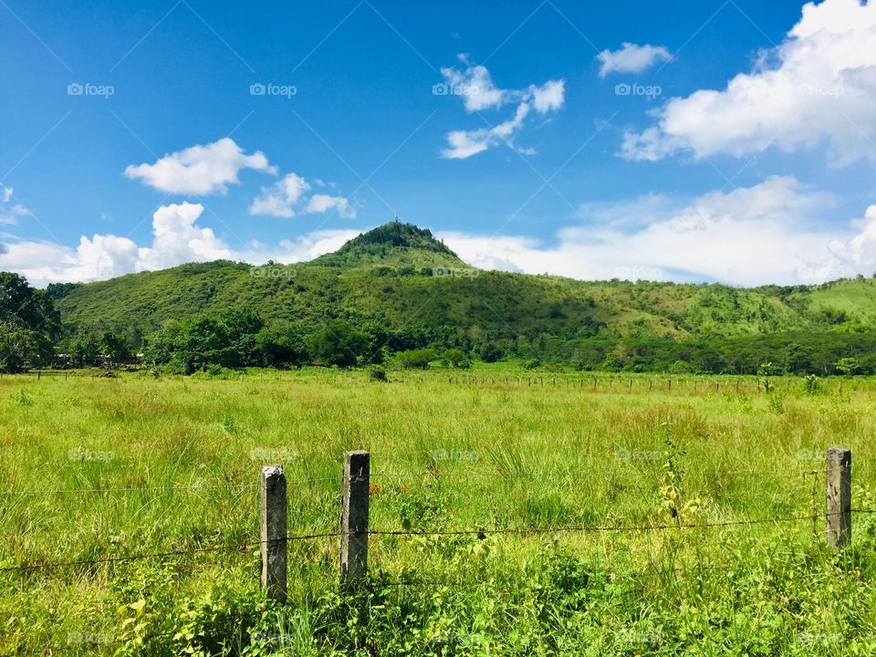 A beautiful landscape of a carabao ranch and a beautiful scenery of Mt. Musuan.