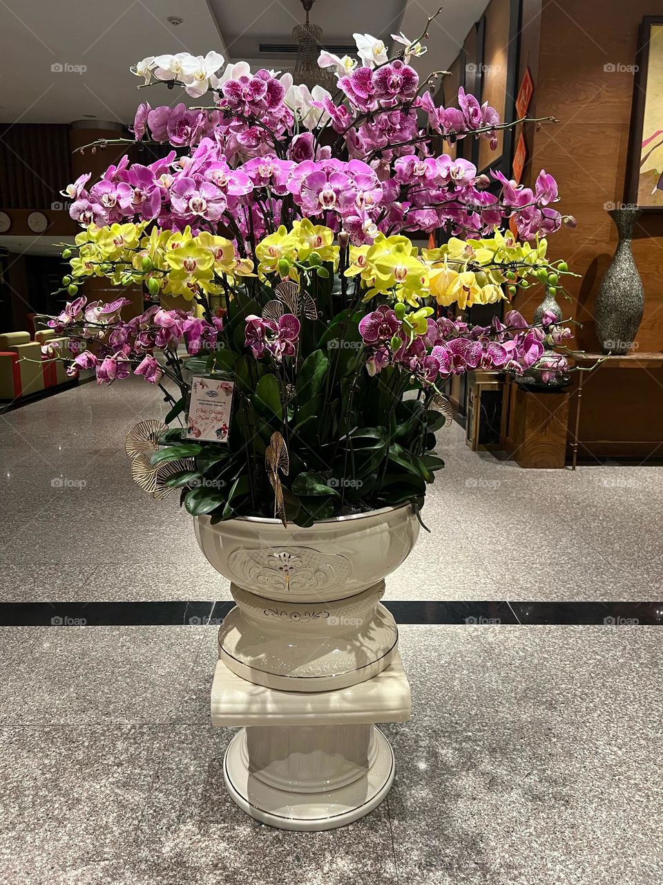 Flowers in Vase - Orchids in a gigantic vase.