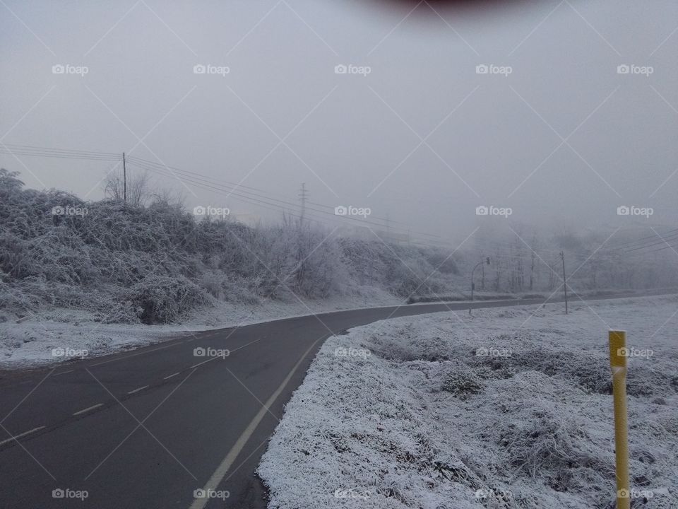 Winter, Snow, Road, Landscape, Weather