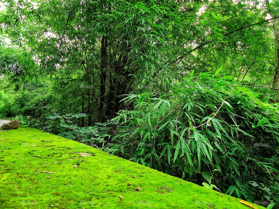 Go green,it is so pleasant.