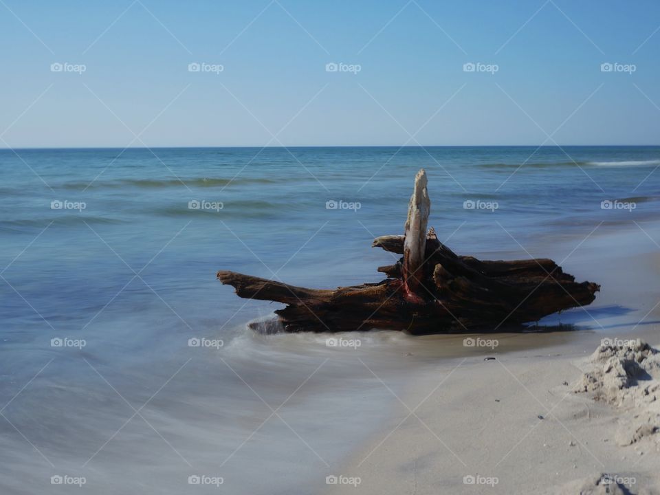 Tree trunk at beach