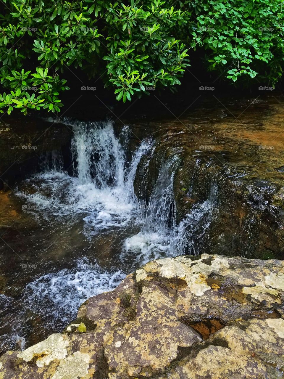 Virginia hiking trail with waterfall mid summer.