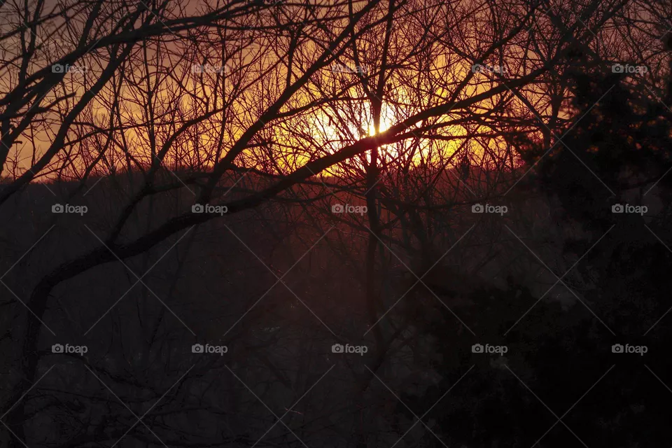 yellow sunset
