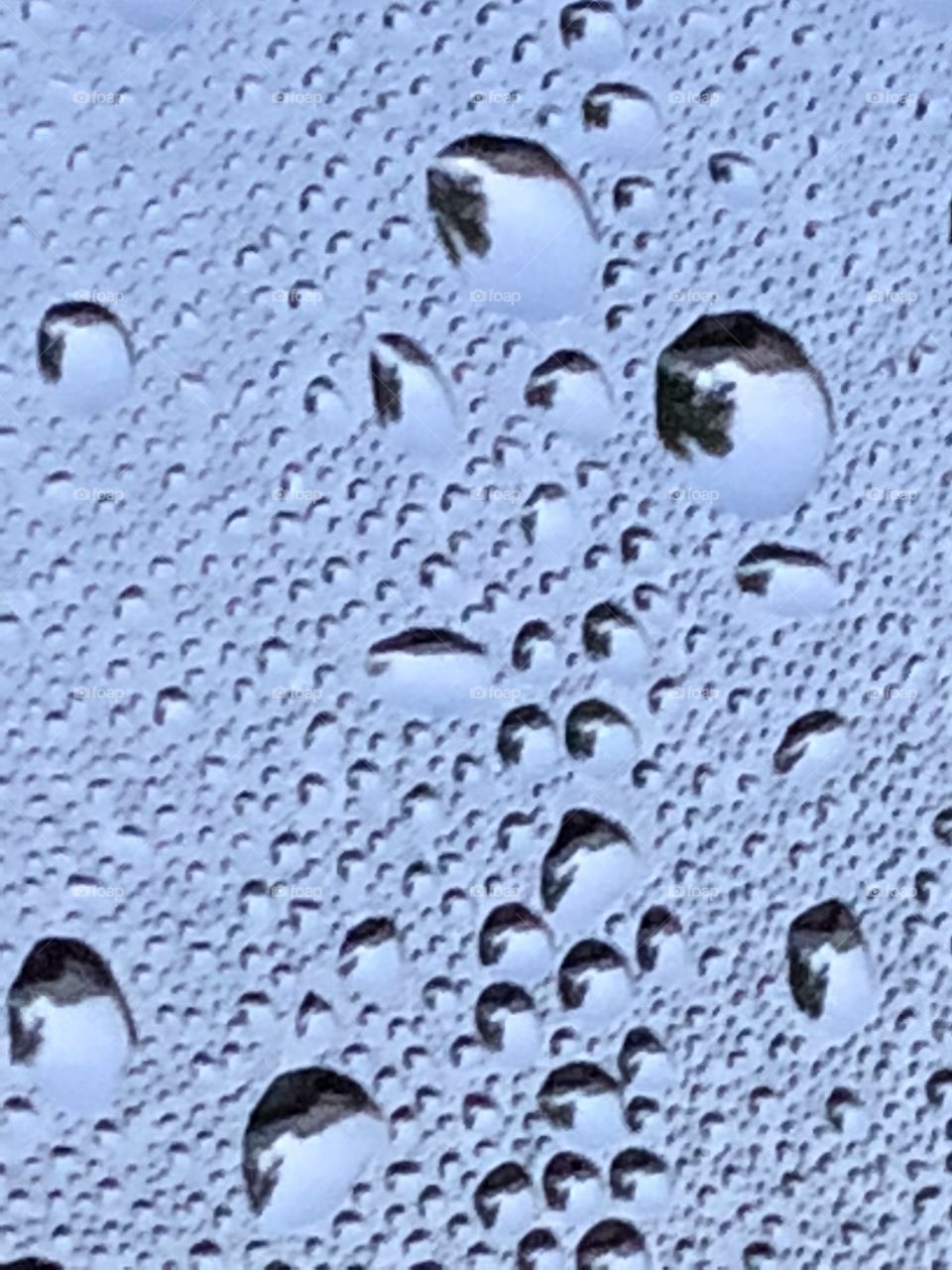 Raindrops on a window