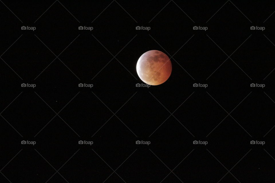 the eclipse wolf blood moon