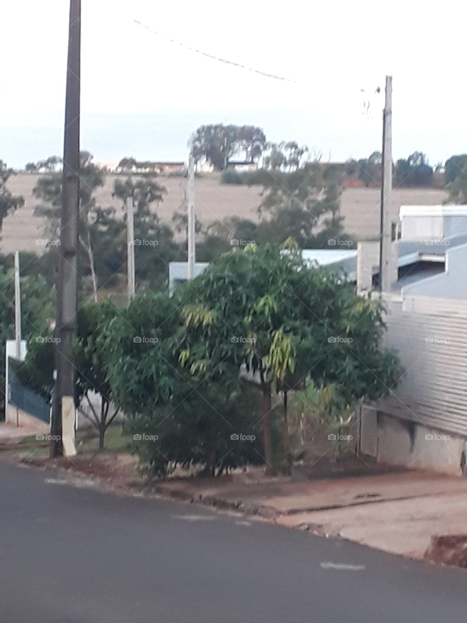 Cafelândia Paraná Brasil