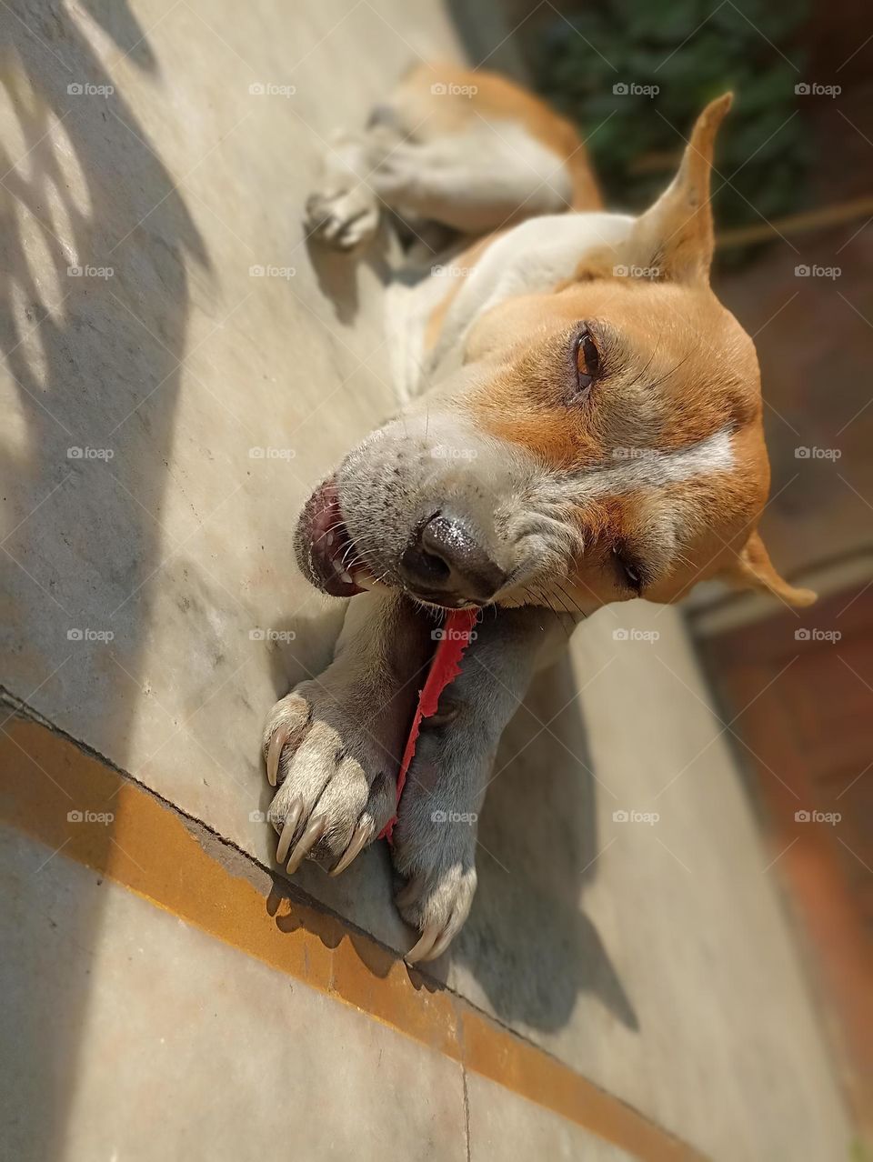 hunger cannot be controlled