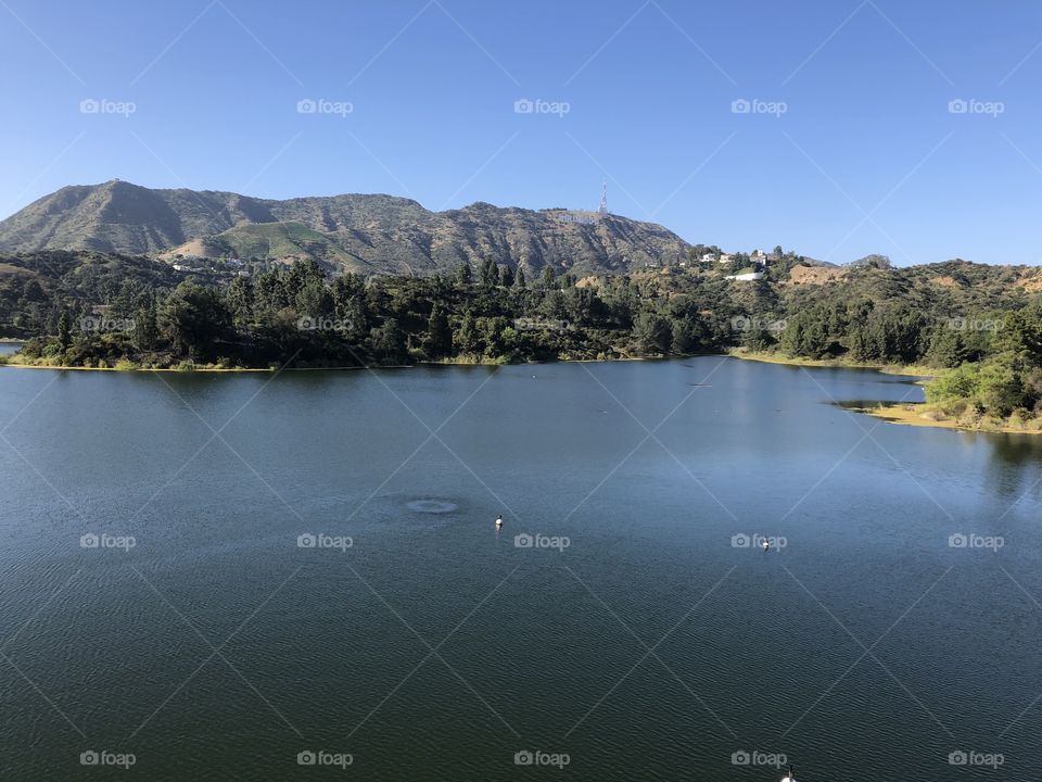 Lake Hollywood 