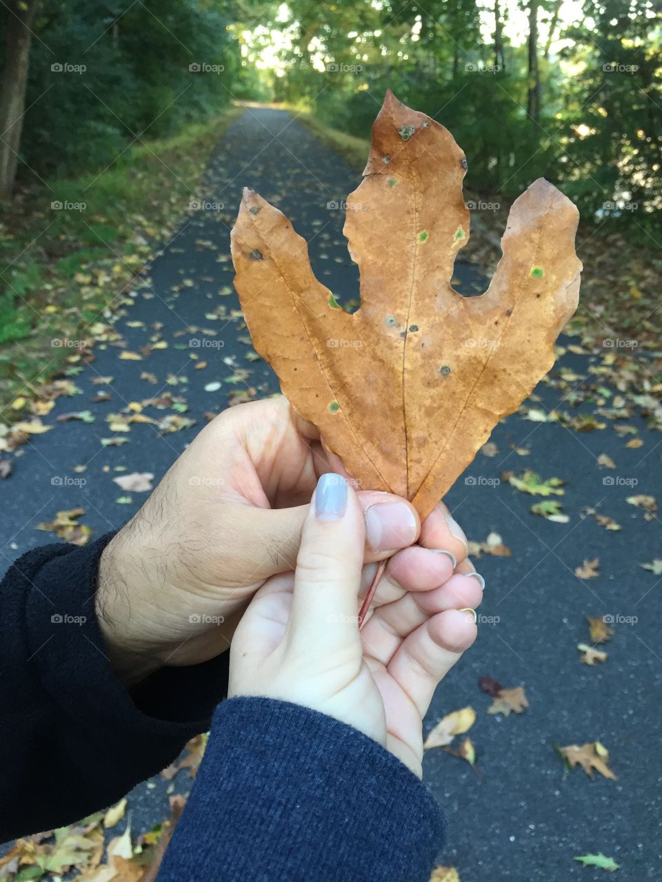 Love leaf. Man and woman hold a leaf they found while walking on a beautiful Fall day in Easton, Pa