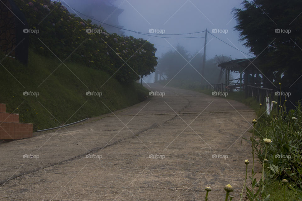 let the vacation begin