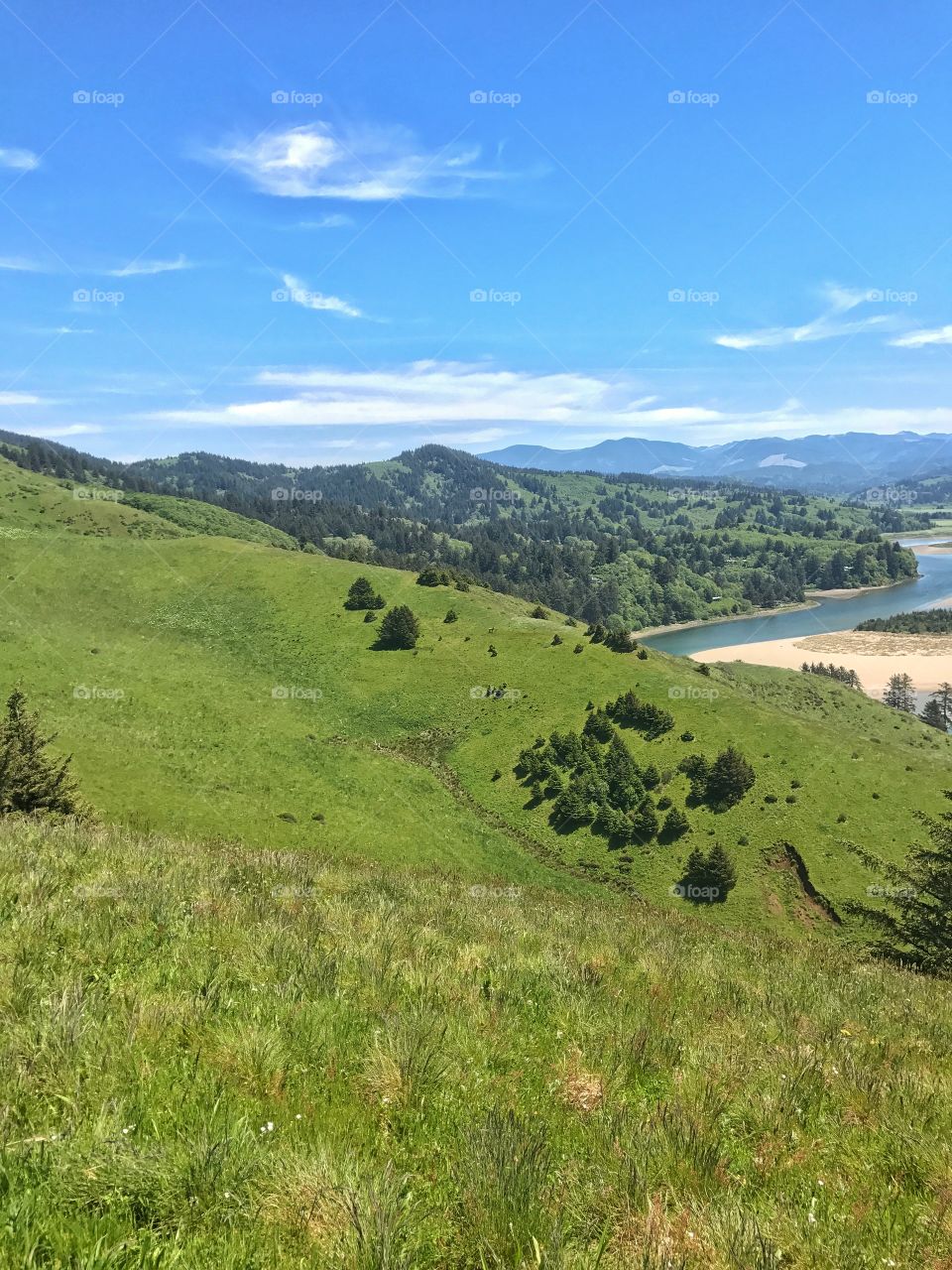 Cascade Head Trail