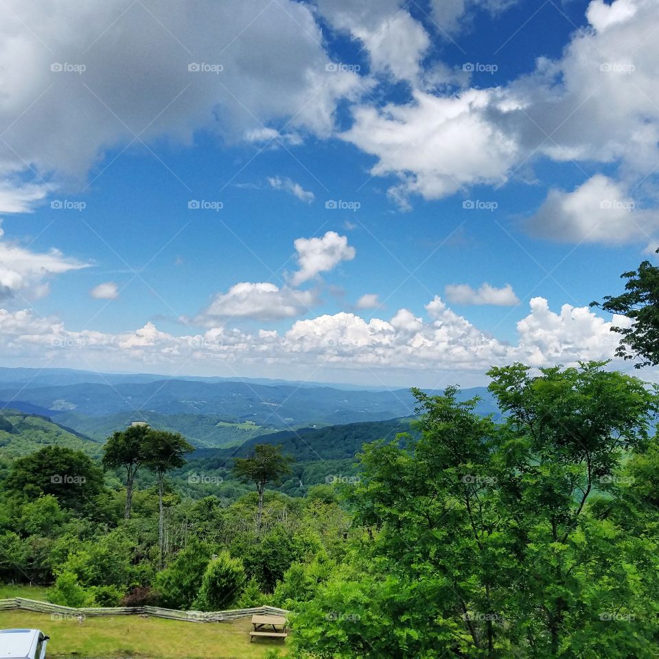 summer view in the couds