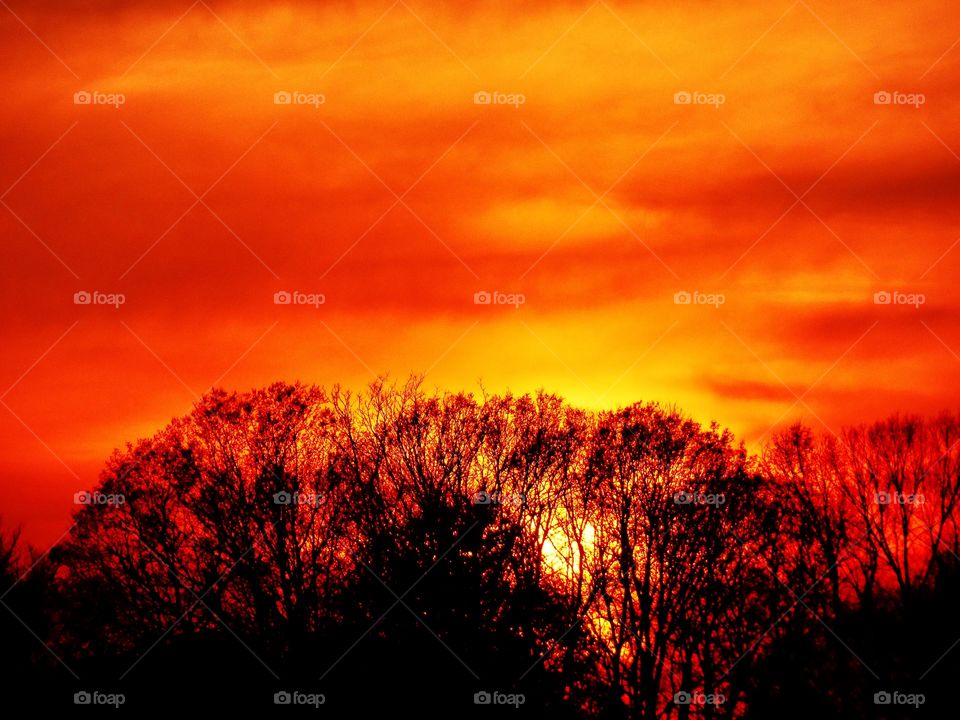Sundown behind the trees in Indiana 